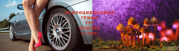 apvp Балахна
