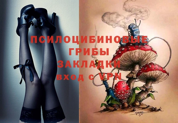 apvp Балахна