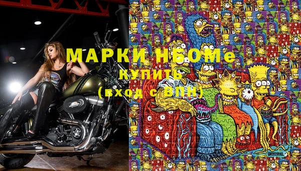 прущие грибы Баксан