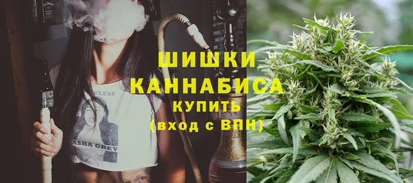 прущие грибы Баксан