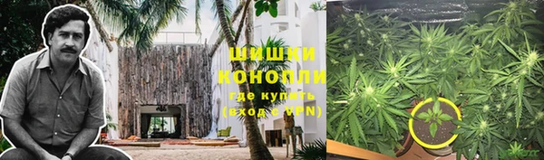 apvp Балахна