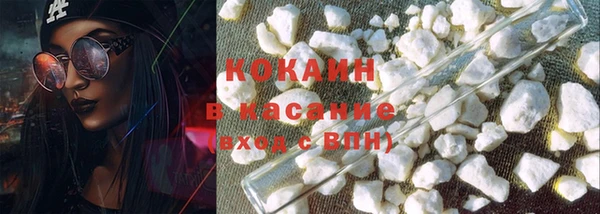 прущие грибы Баксан