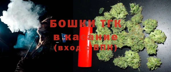 прущие грибы Баксан